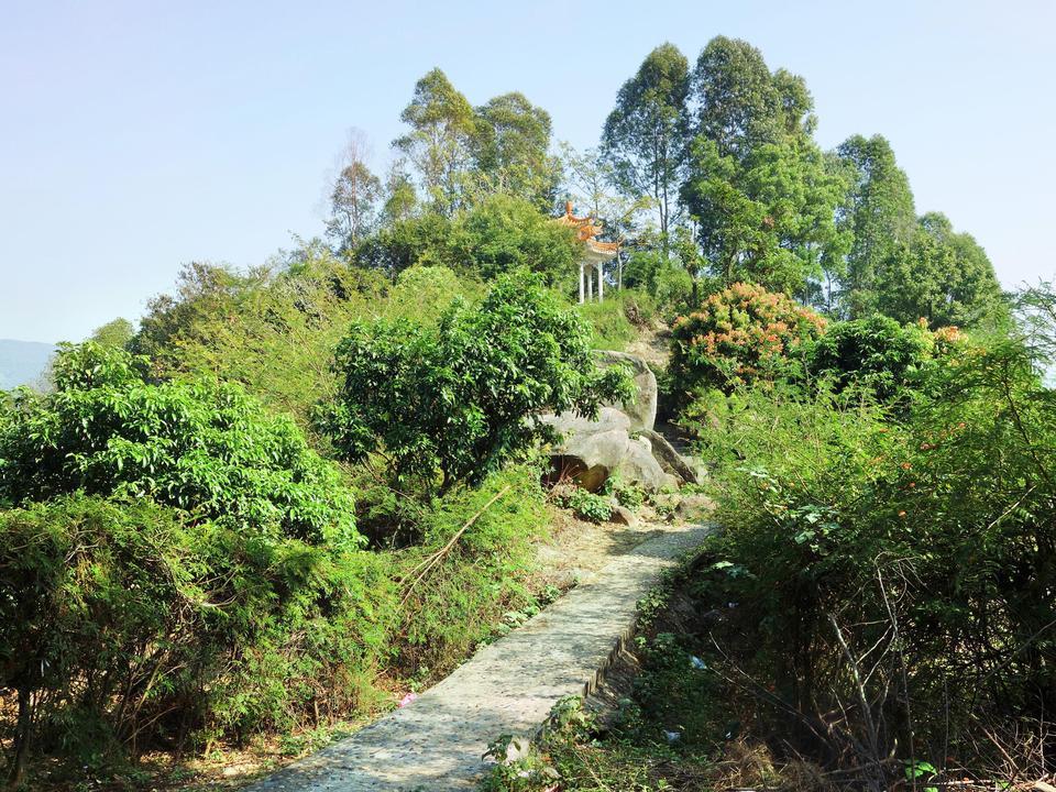 > 铜锣湾森林景区