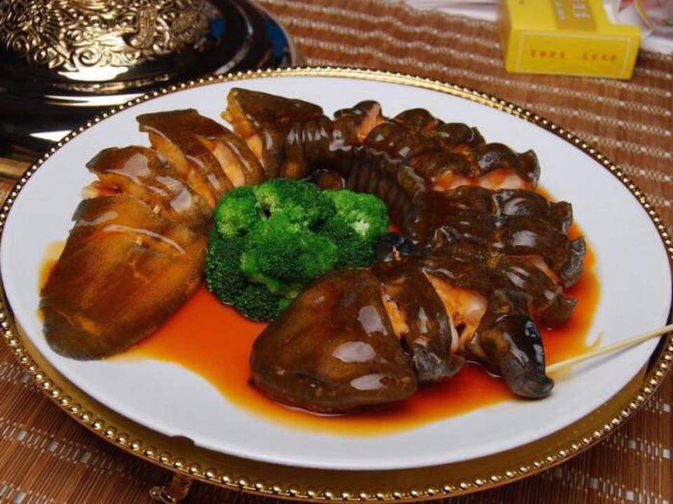 【生态娃娃鱼庄】地址,电话,路线,周边设施_360地图