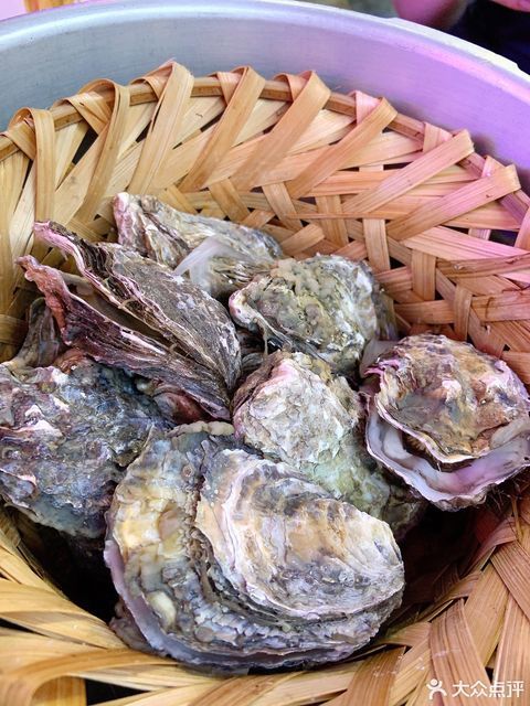 土蚝金竹笼蒸蚝