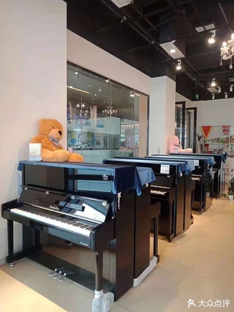            宏声琴行(新力都荟店)