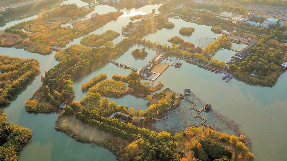 驻马店湿地植物园图片图片