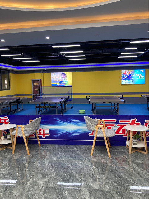 乐旋乒乓球(油坊桥店)