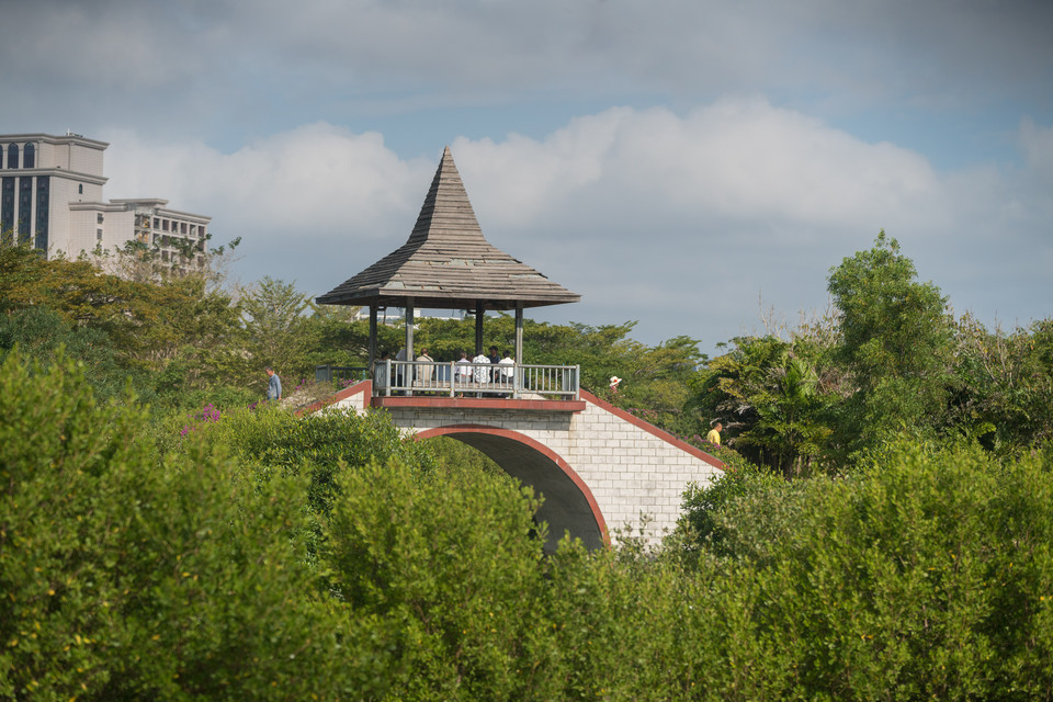 白鷺公園圖片