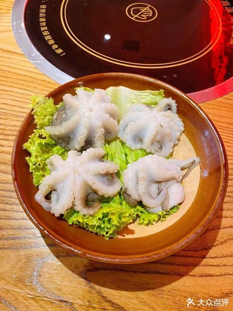 迷你八爪鱼图片