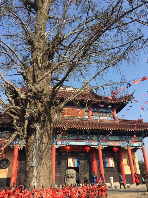 江都大桥开元寺