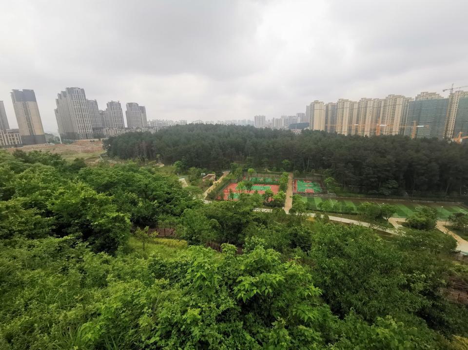 白云区马鞍山公园图片