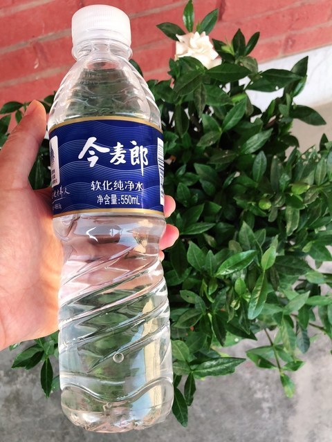今麦郎纯净水图片
