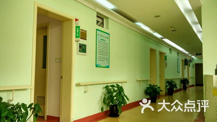 上海市精神卫生中心分部号贩子挂号电话，挂不上的都找我的简单介绍