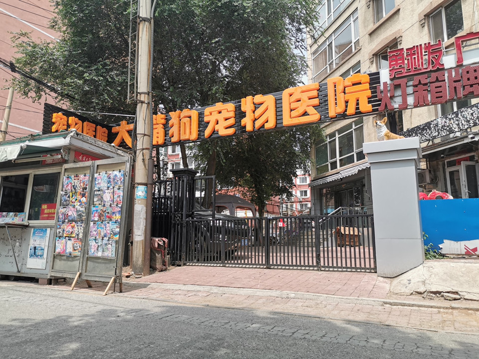 大嘴狗宠物医院