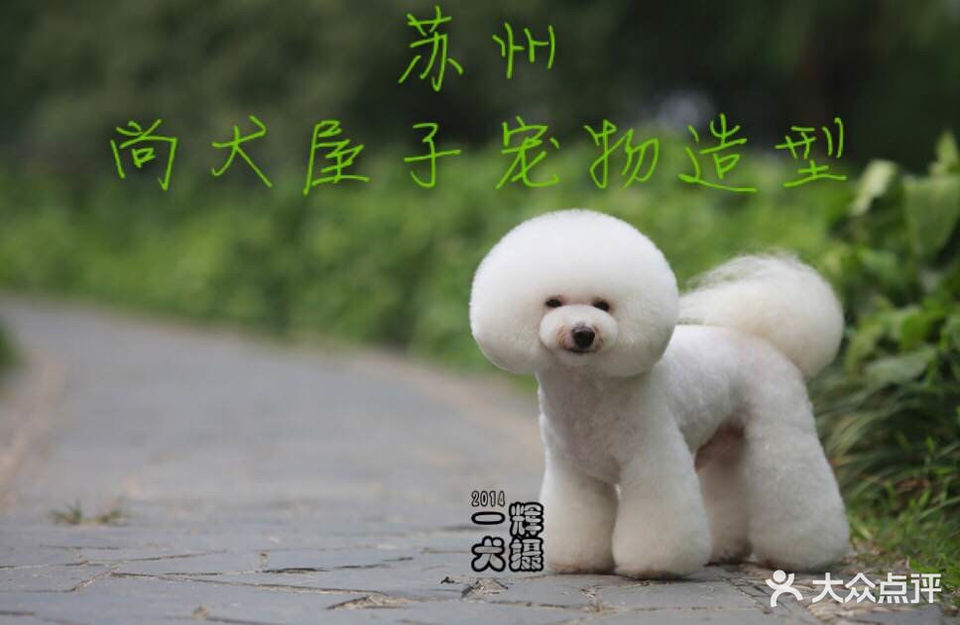 宠物屋电话机怎么充电(宠物机怎么用)