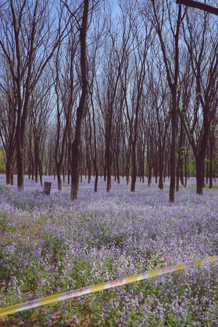 將府公園北區