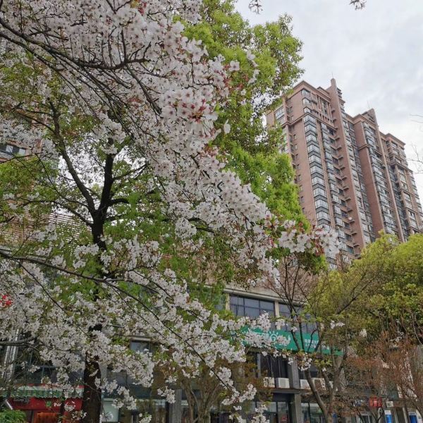 史家埭街心公园
