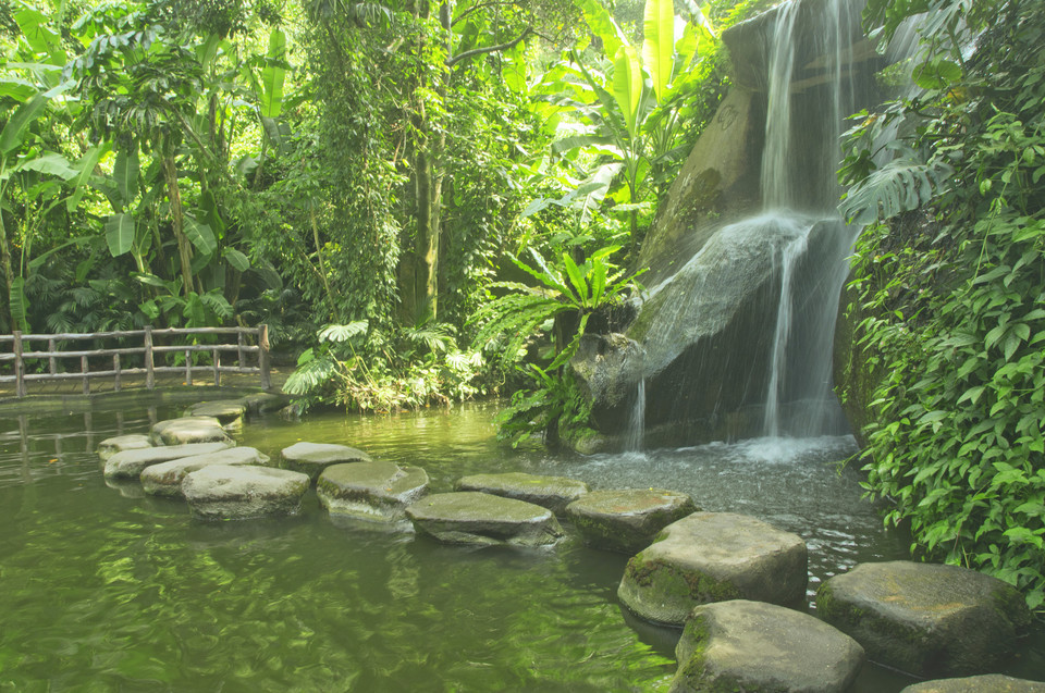 查看厦门植物园雨林世界_360地图搜索结果列表
