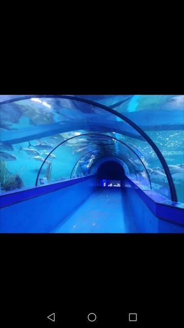                      蓝海湾海洋