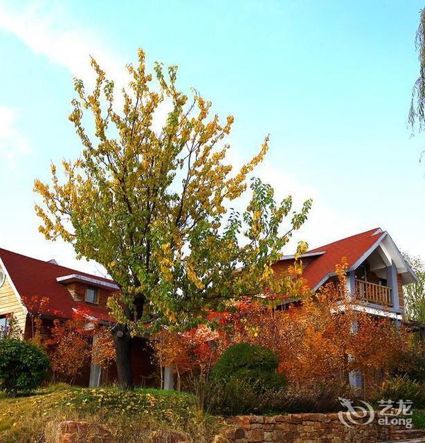 沂南红石寨木屋别墅酒店原红石寨民宿