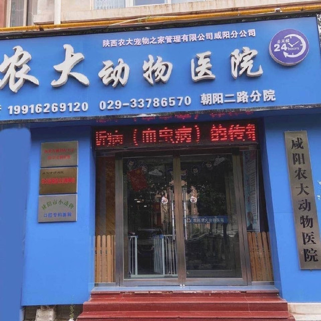 农大动物医院(朝阳二路分院)图片