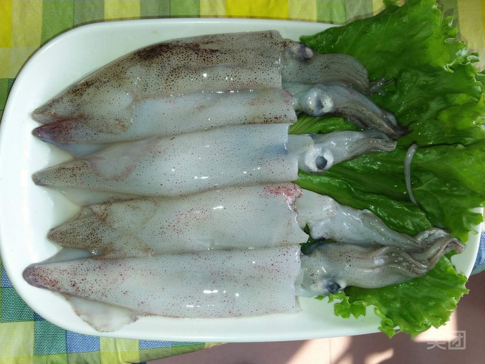 烏子魚圖片