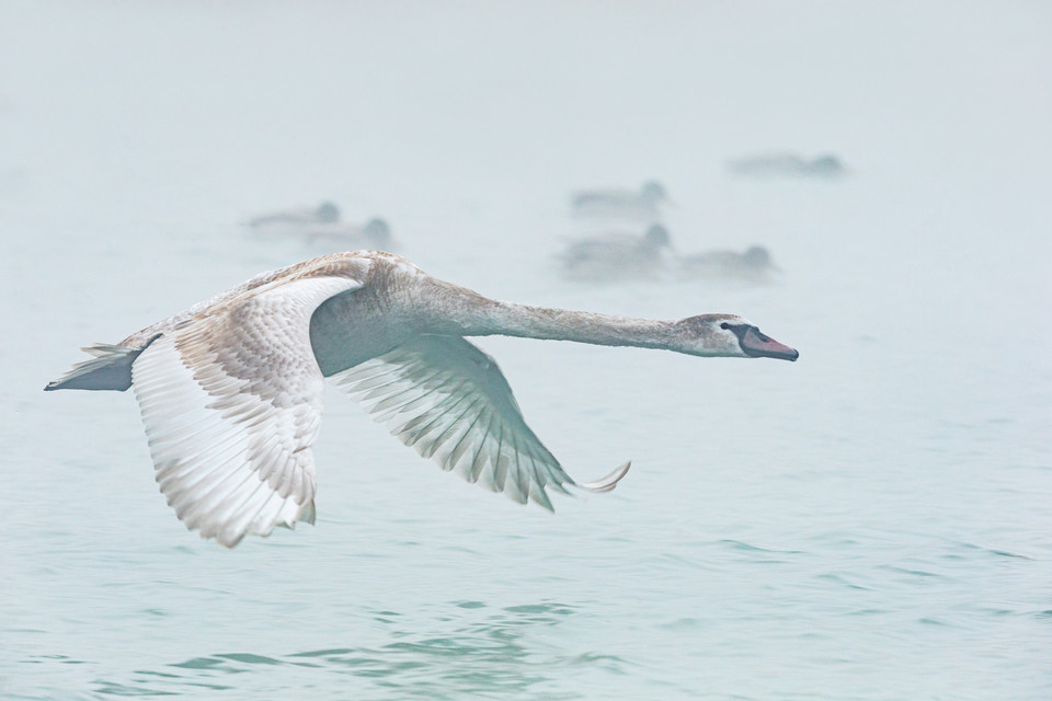 中国长乐海蚌公园