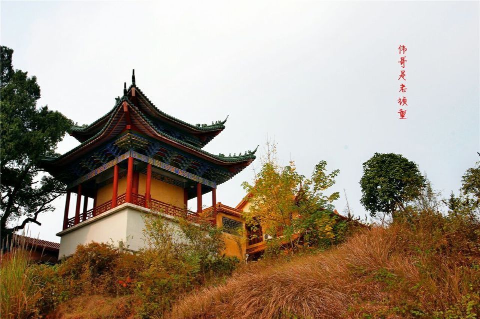 竹林禅寺