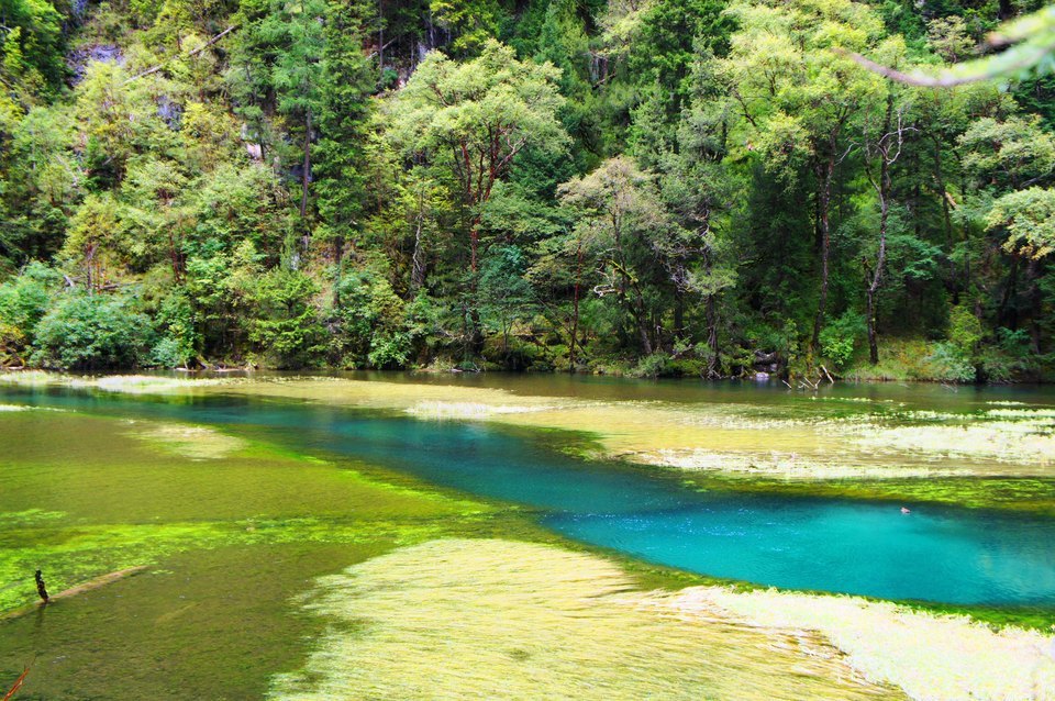 在哪儿):阿坝藏族羌族自治州九寨沟县漳扎镇电话:金铃海地址(位置