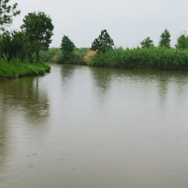 是愛吃的長頸鹿:大風天氣出遊杭州灣溼地 還好沒被吹走今天是個大晴天