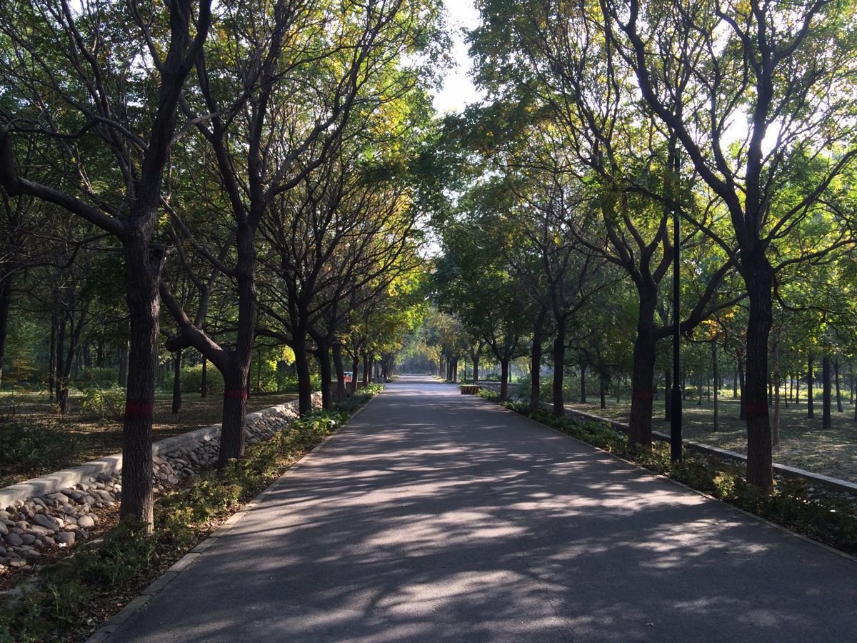 東壩郊野公園