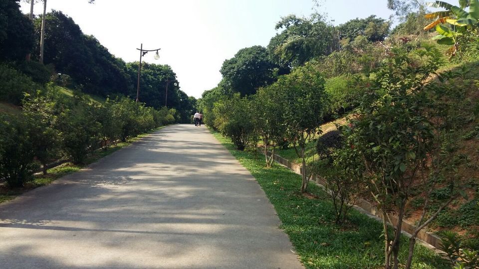 增城区兰溪森林公园