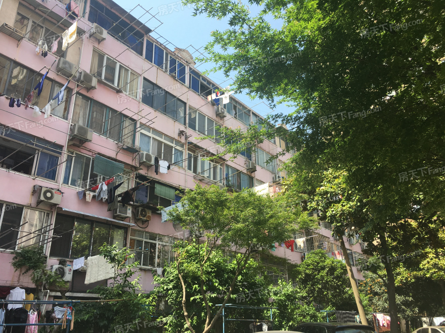              浦东大道2511弄小区