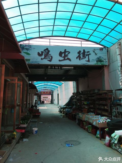 天津中环花鸟市场夜市图片