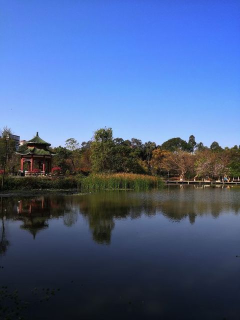 【华南农业大学湿地公园】华南农业大学湿地公园门票,华南农业大学湿