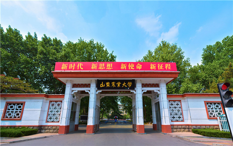 王东山东农业大学