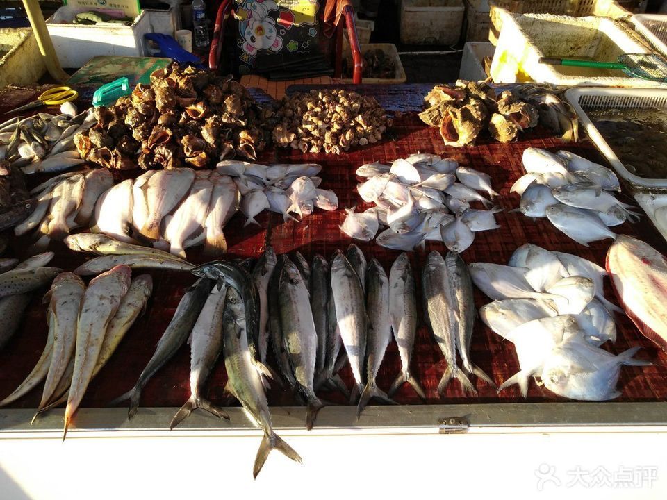 在哪儿):秦皇岛市海港区安居中街与东港路交汇处附近东北海鲜市场电话