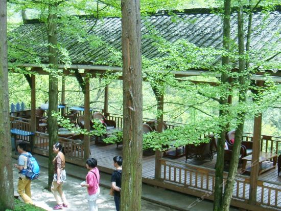 青城山双鑫楼农家乐地址(位置,怎么去,怎么走,在哪,在哪里,在哪儿)