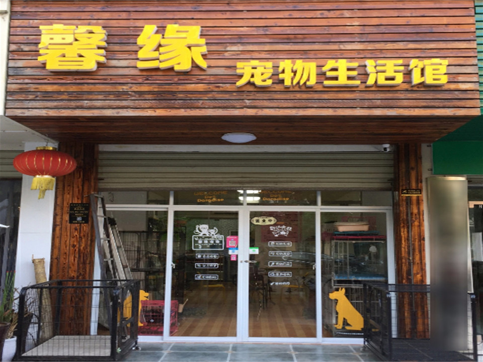 球场路花鸟市场