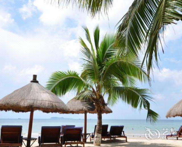 椰林海岸精品度假酒店
