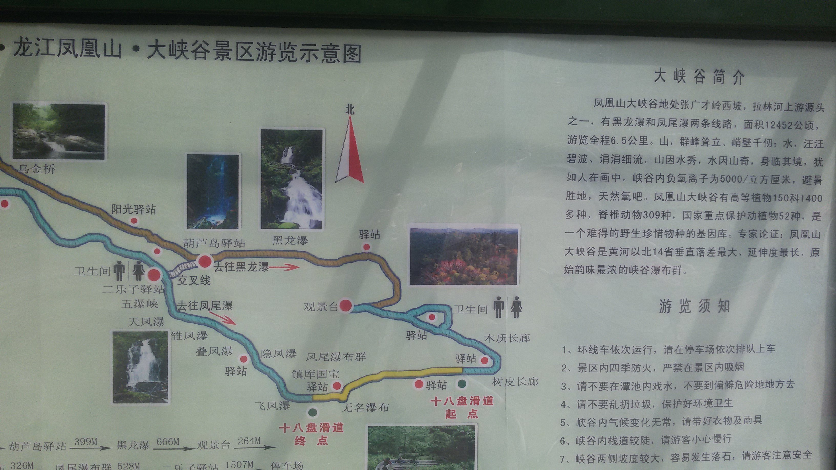 惠州凤凰山公园在哪里图片