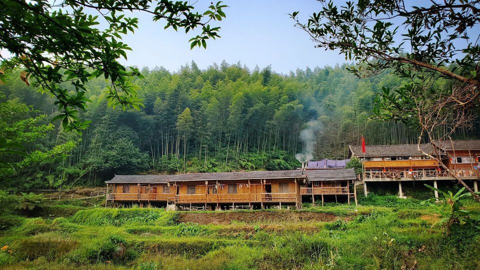 红茶沟森林公园