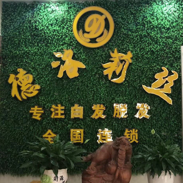 德洛莉丝生发西区山水原著店