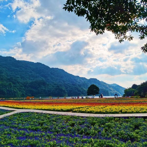 【石門國家森林公園】石門國家森林公園門票,石門國家森林公園遊玩