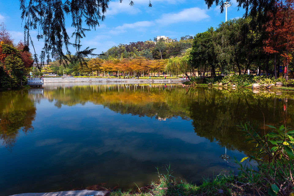 深圳市 休闲娱乐 景点公园 景点 