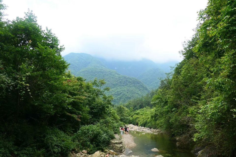 查看绵阳养马峡_360地图搜索结果列表