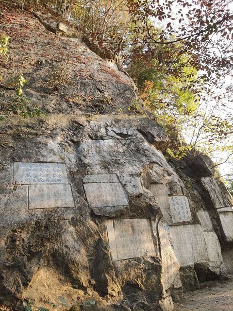 镇江市 休闲娱乐 景点公园 > 焦山风景区-摩崖石刻评论(怎么样,怎样