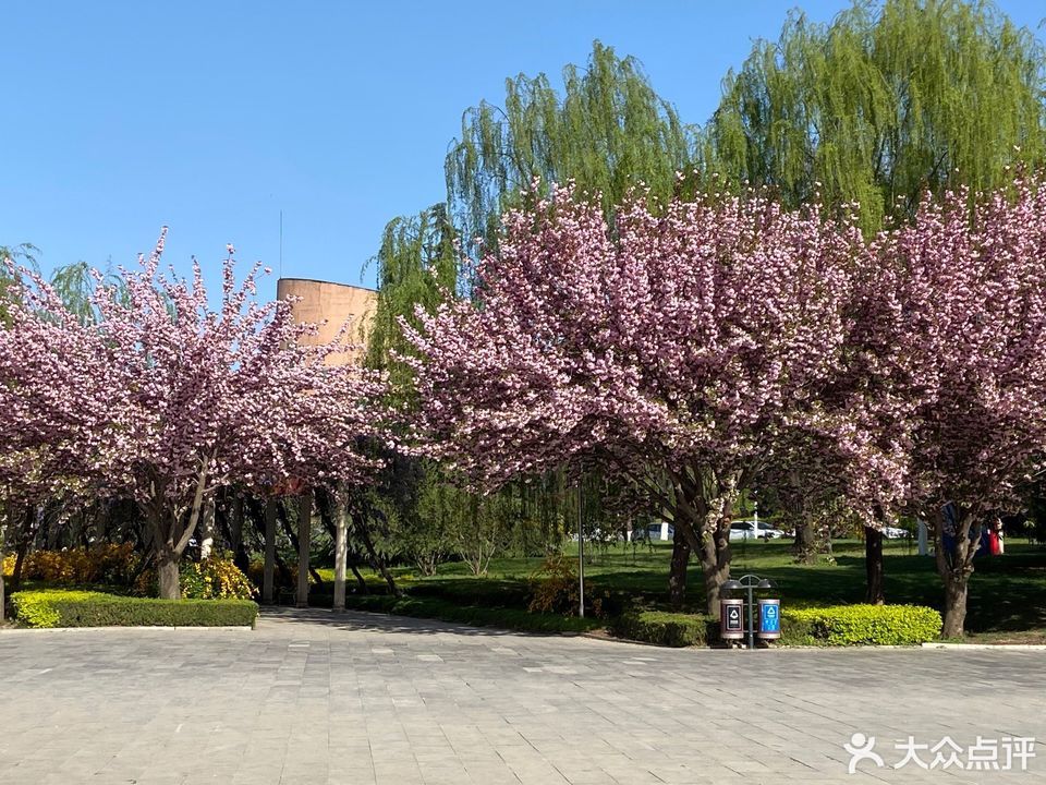 怎麼去,怎麼走,在哪,在哪裡,在哪兒):西安市臨潼區工程大學校區內(近