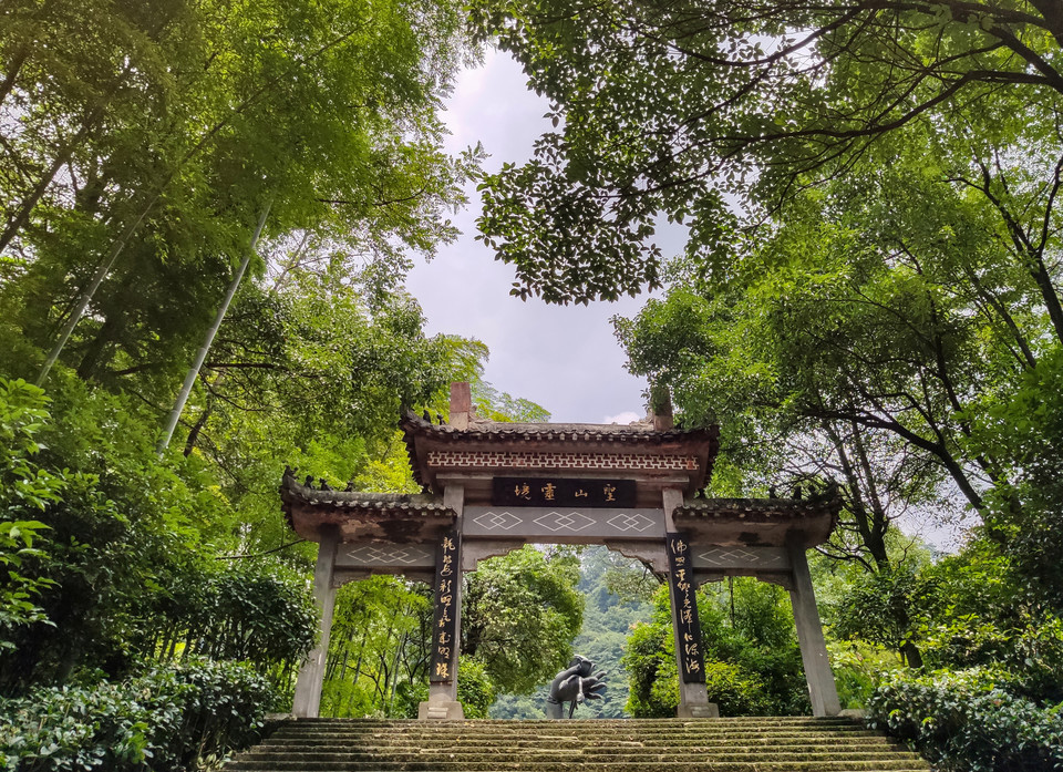 圣灯山原始森林公园图片