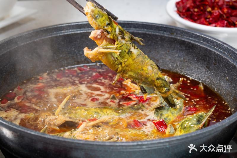 鲜鱼锅黄辣丁图片