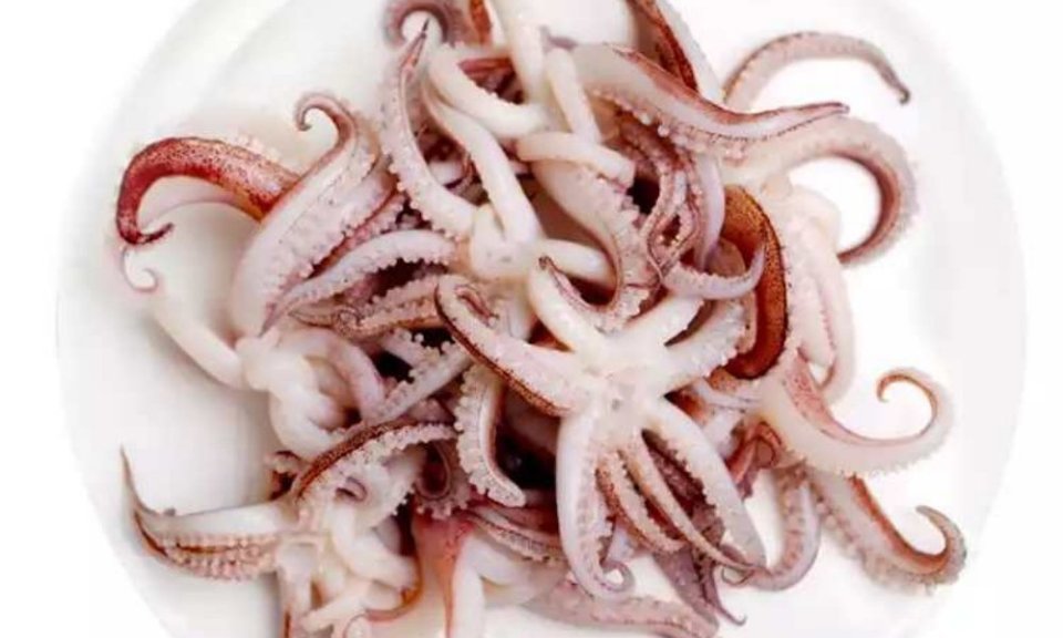 秘制优鱼须图片