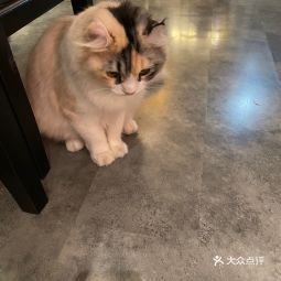 拾柒说片 t01db08bd7aa56135c2.jpg