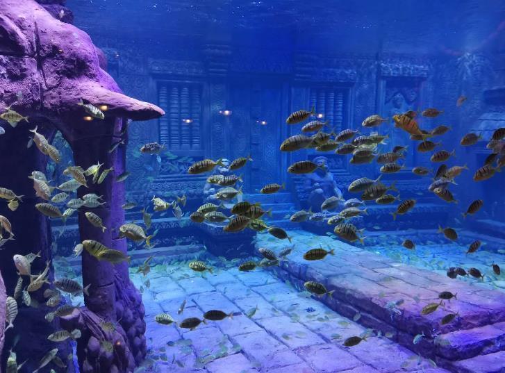 海底失落城图片