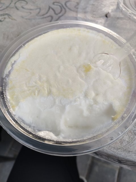 阿依舍手工酸奶