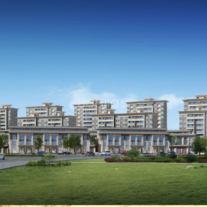 星州润达九玺图片